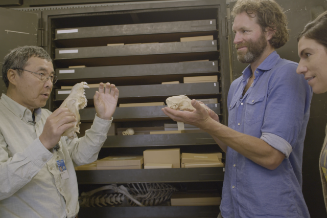 A man shows a wolf skull to another man with a beard and a woman