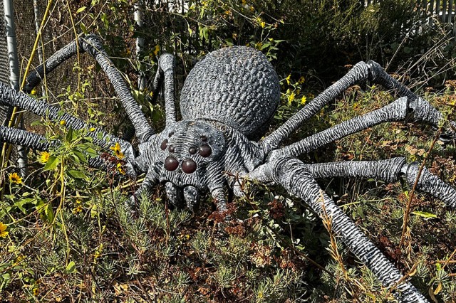 Gray and white spider sculpture seen from above, on top of green foliage