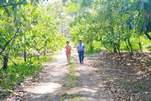 two people walking in forested area 