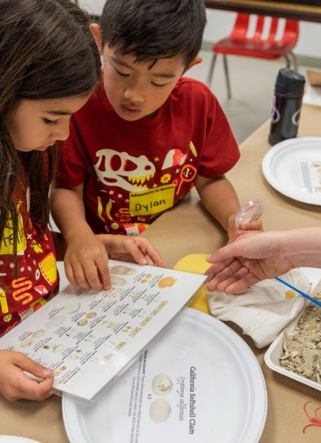 Two children looking at a laminated guide and a tray of micro fossils
