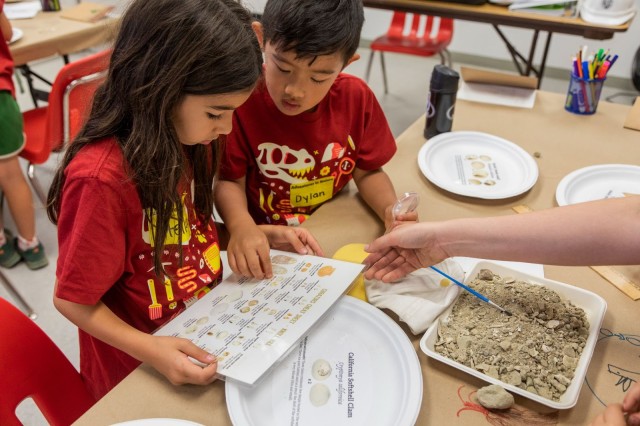 Two children looking at a laminated guide and a tray of micro fossils