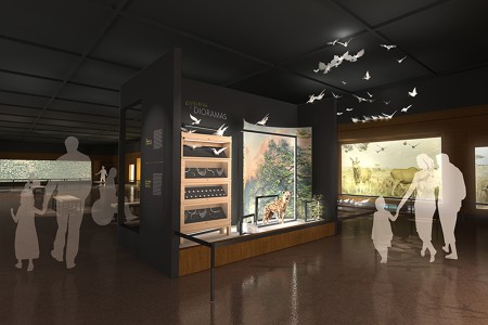 Rendering of visitors walking in a diorama hall