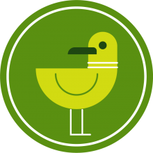 Birds icon