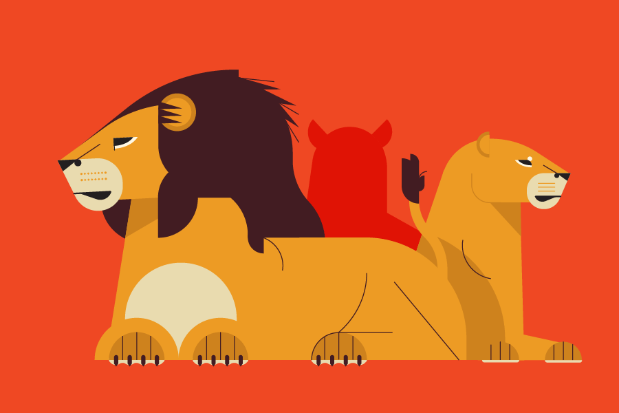 Lion animation