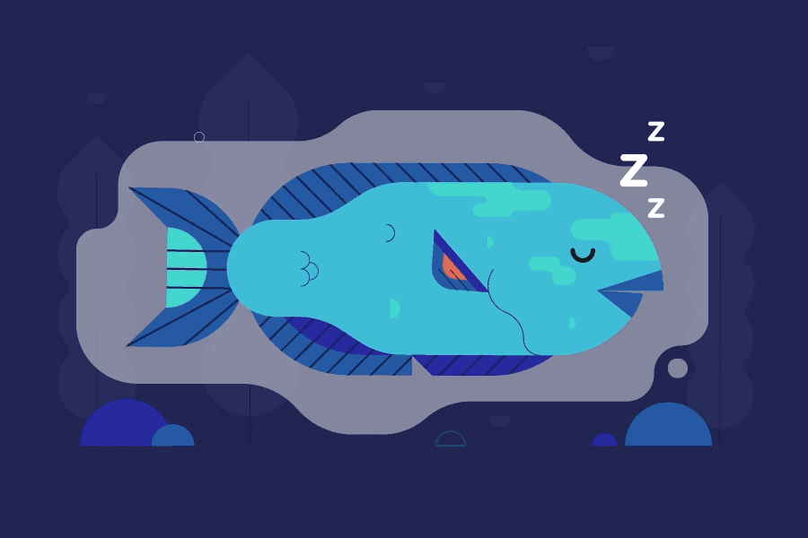 animation of parrotfish sleeping
