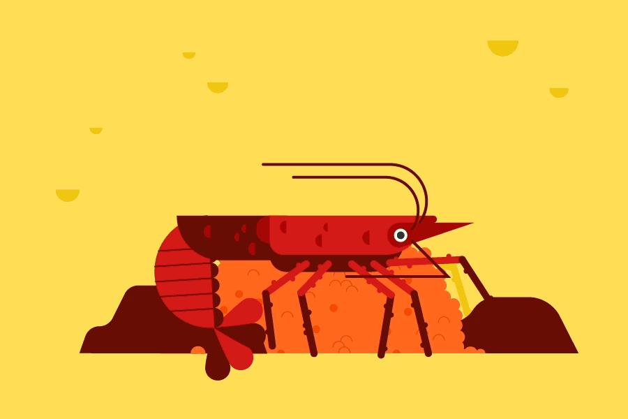 lobster fun fact GIF