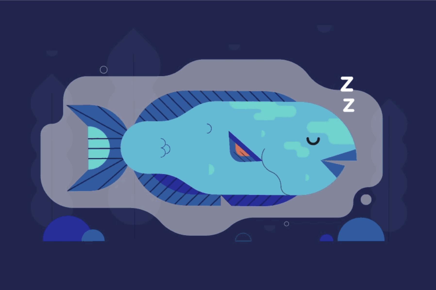 image of parrotfish sleeping
