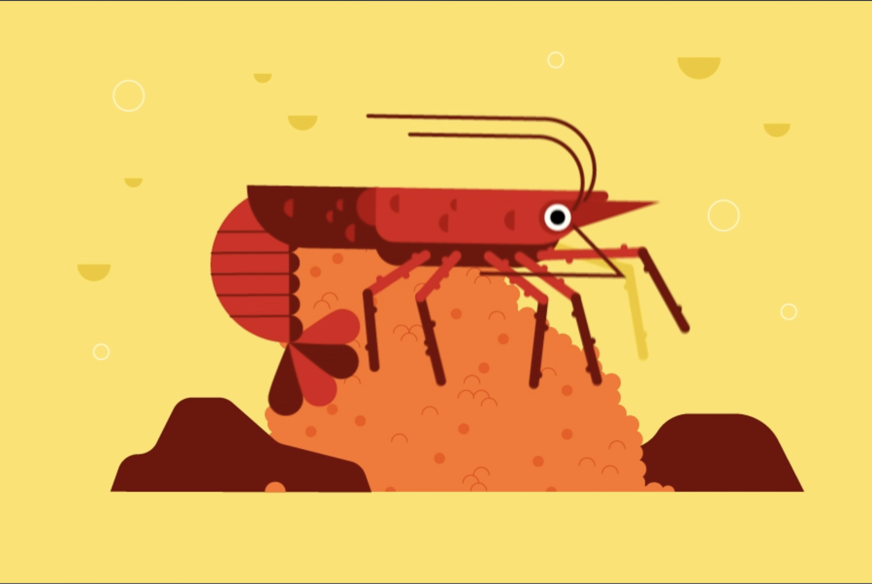 lobster mobile fallback