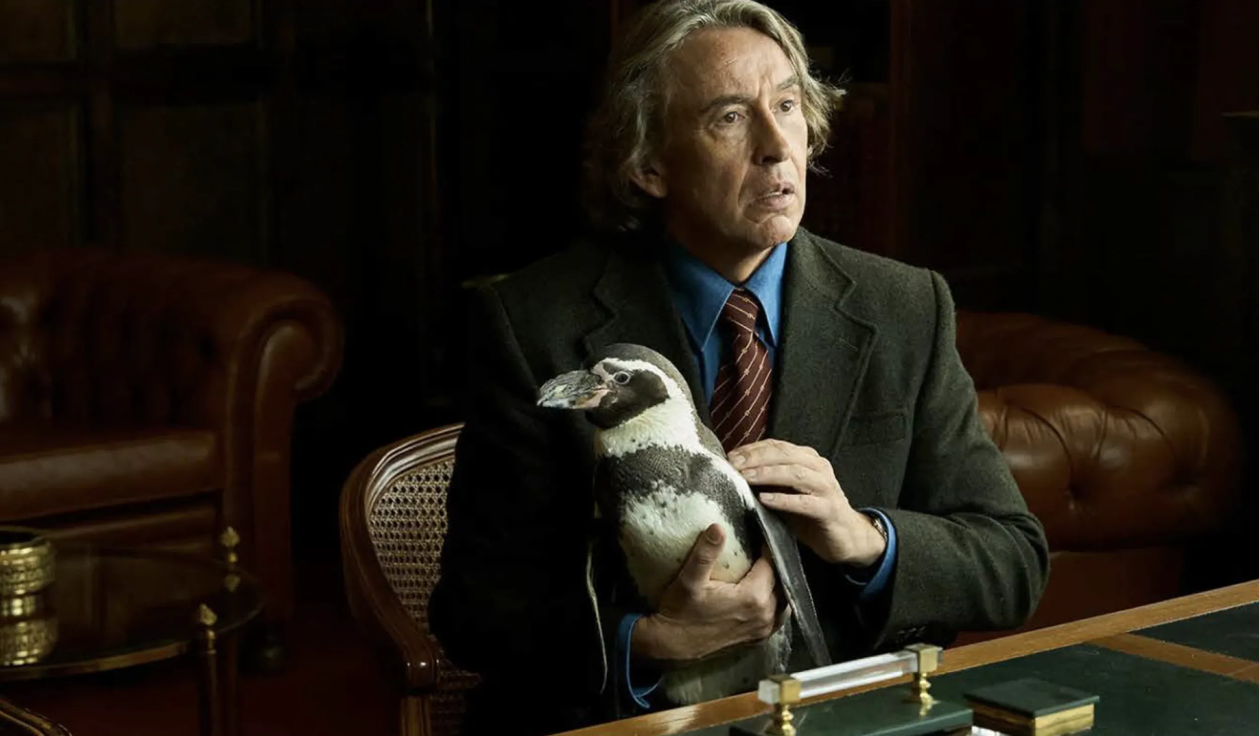 Steve Coogan in a suit, seated at a desk, and holding a penguin on top of the table
