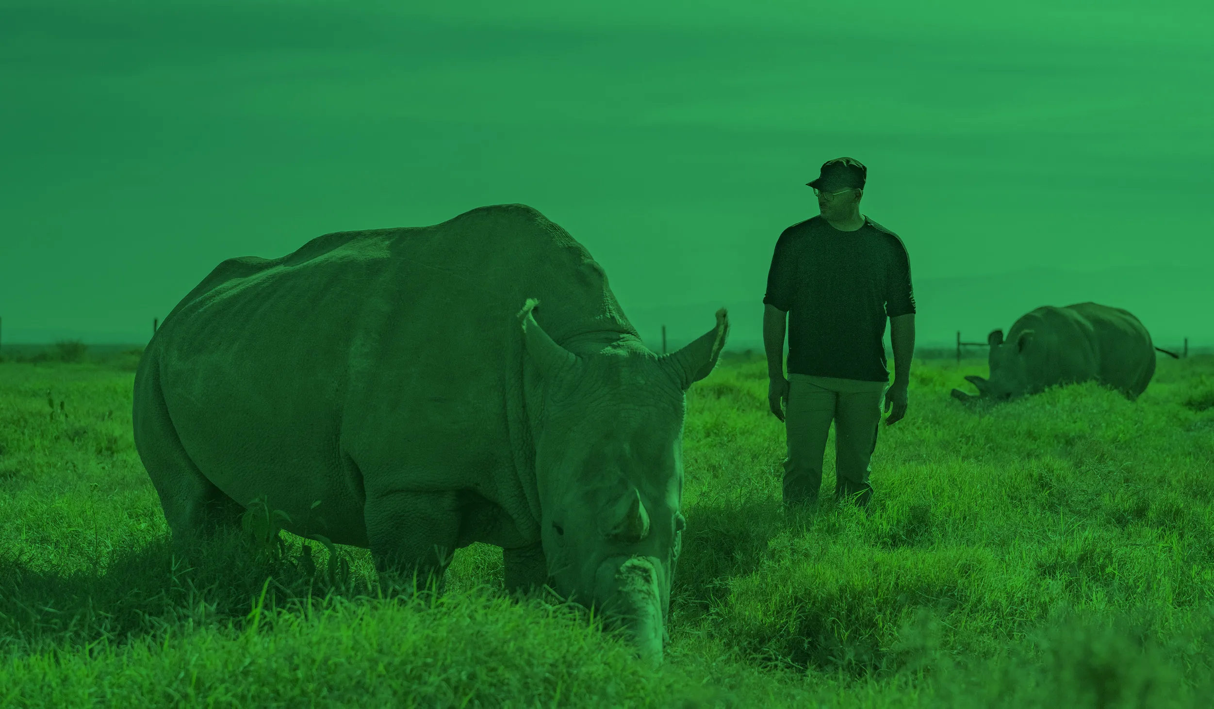 Rhinoceros next to a man wearing a black hat and t-shirt in a field with a green tinted overlay