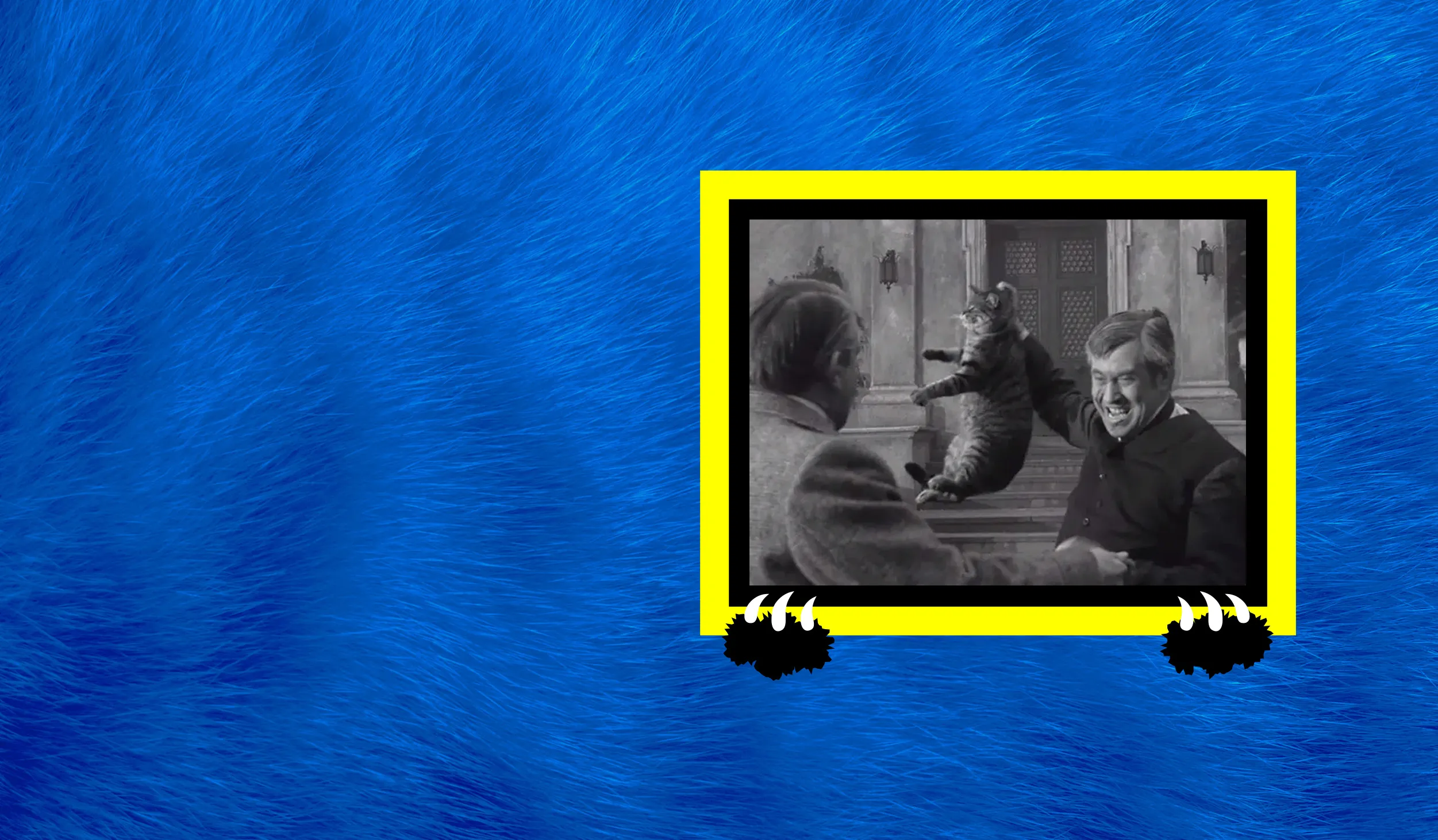 Yellow and black border around a black and white image of a man holding a cat up by the scruff of its neck, against a blue furry background