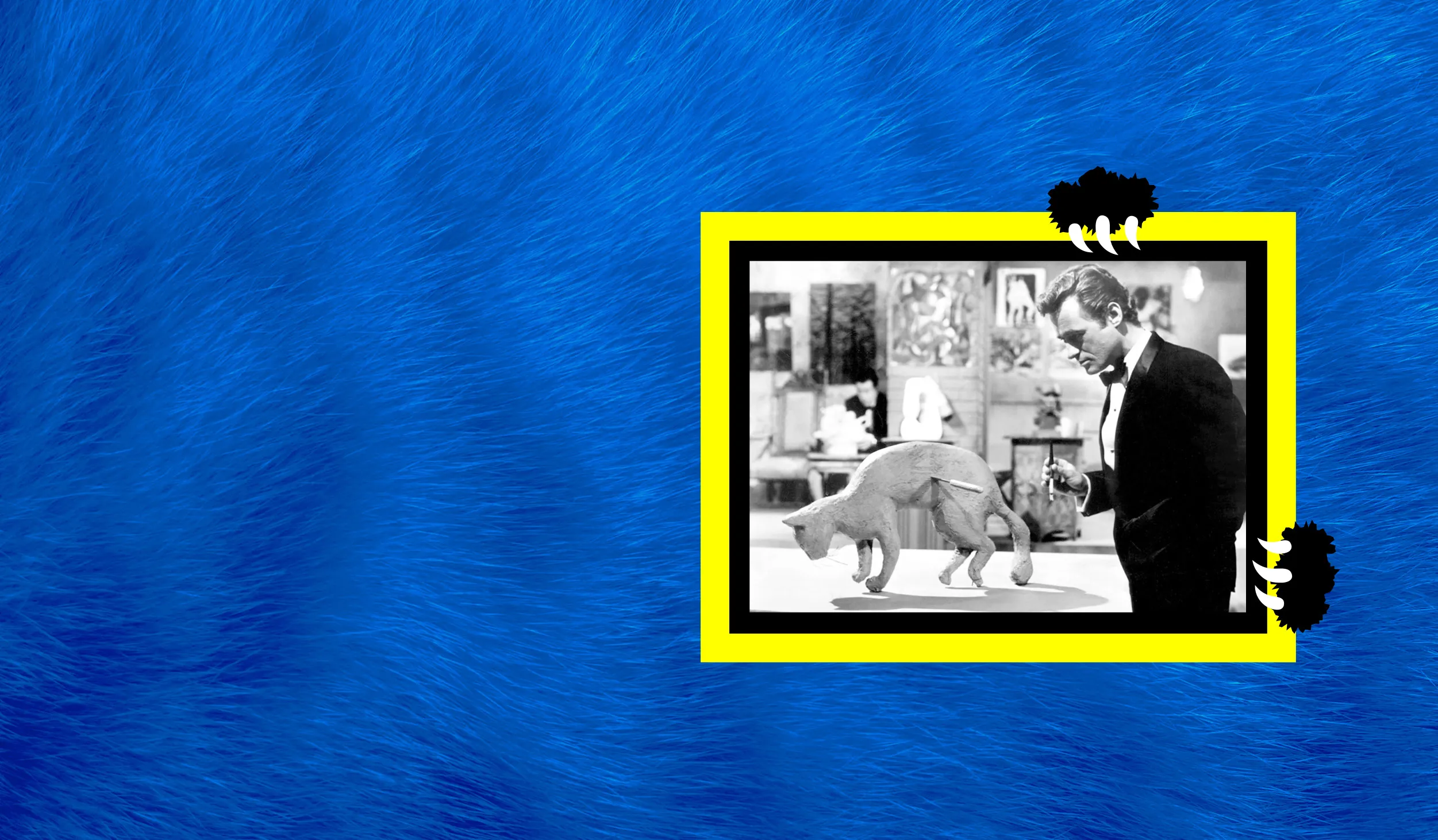 Yellow and black border around a black and white image of a man and a cat, against a blue furry background