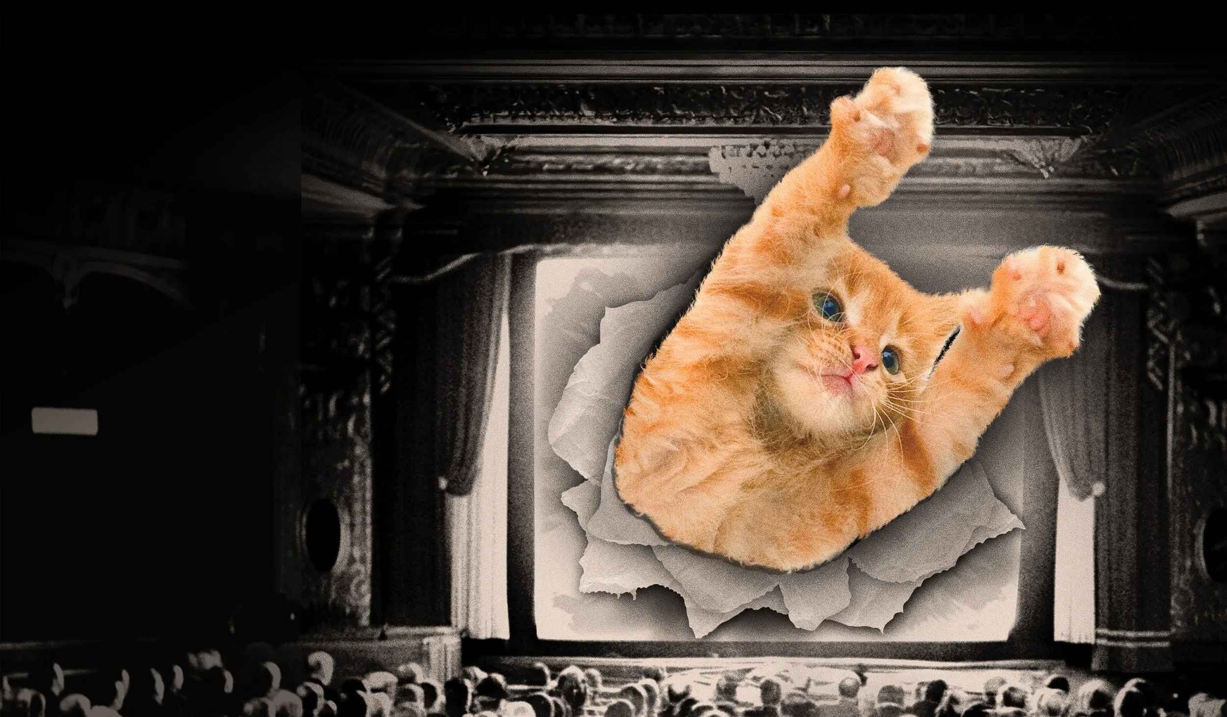 Orange and white cat tearing through a black and white movie screen with an audience in the foreground