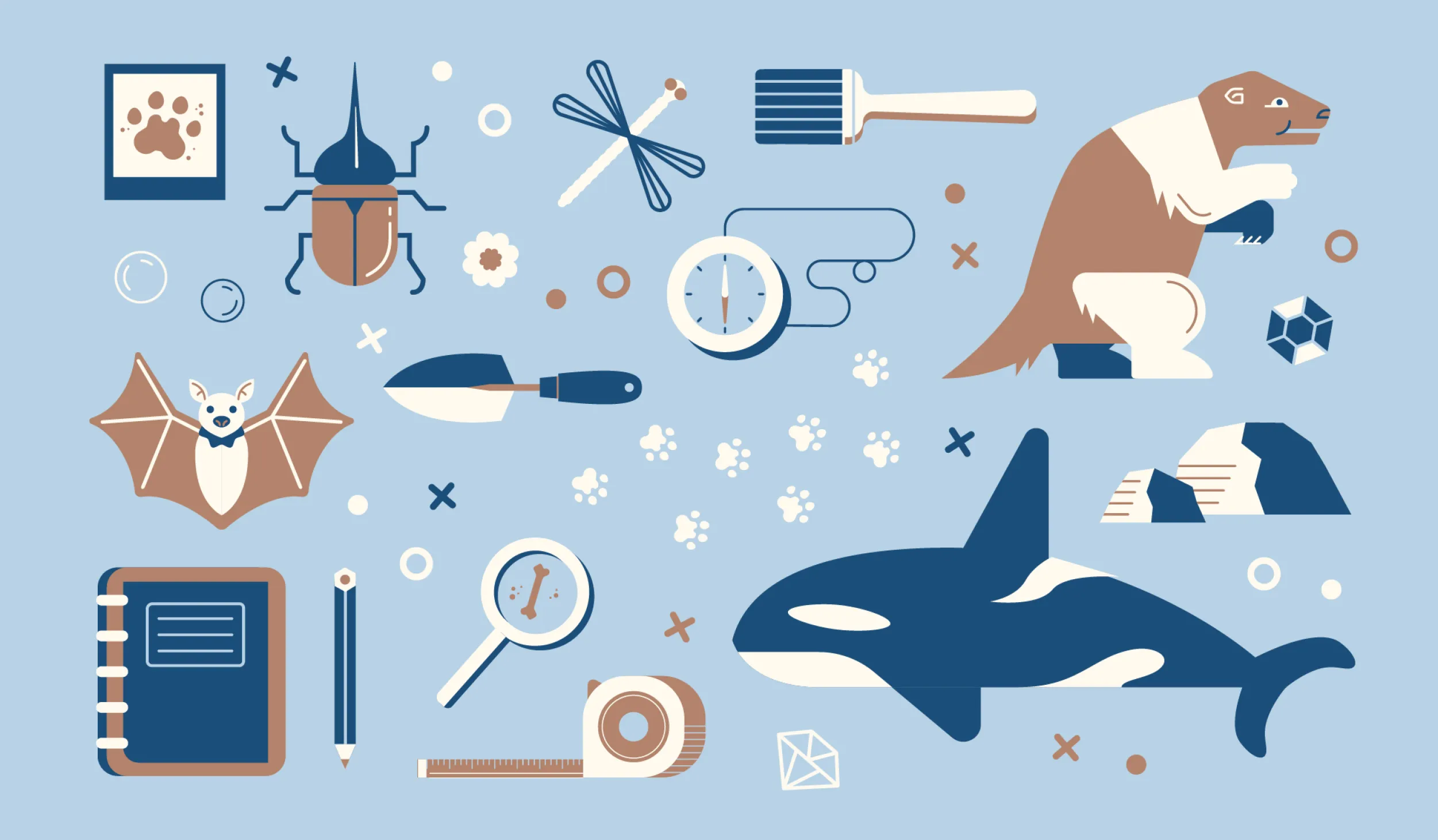 Bat, whale, ladybug and other animal icons against a blue background