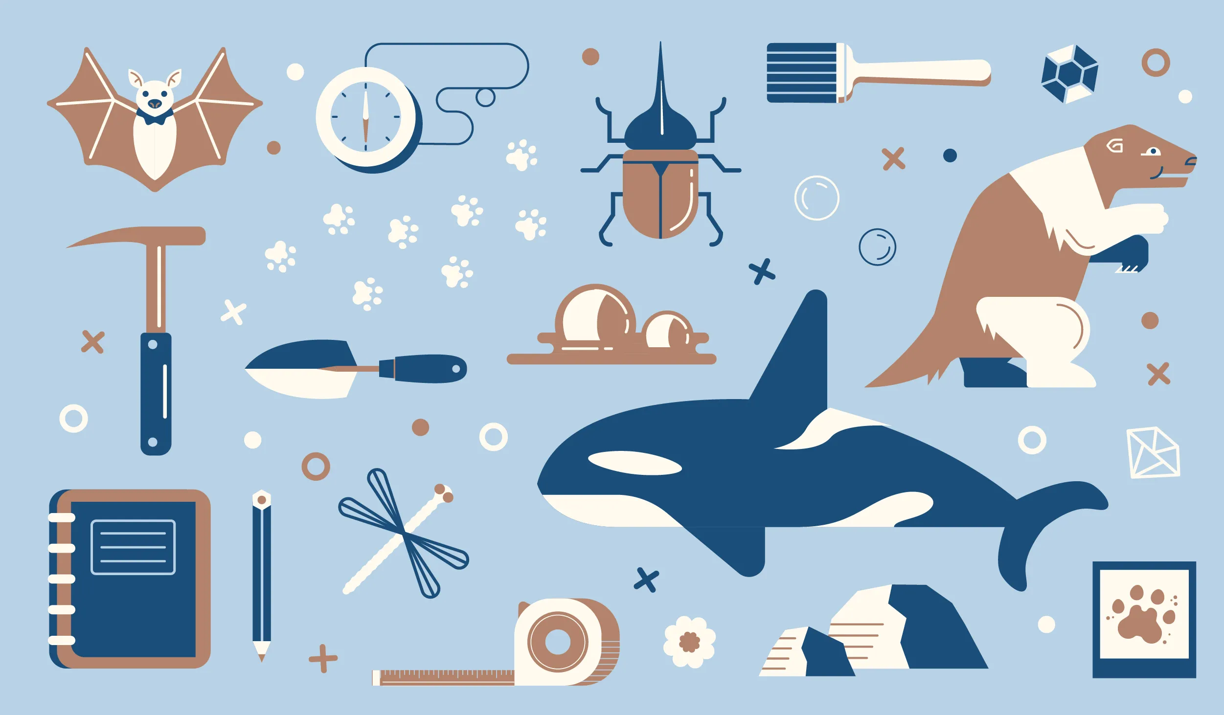 Bat, whale, beetle, clock and other scientific and nature-themed icons in navy, sky blue, and white