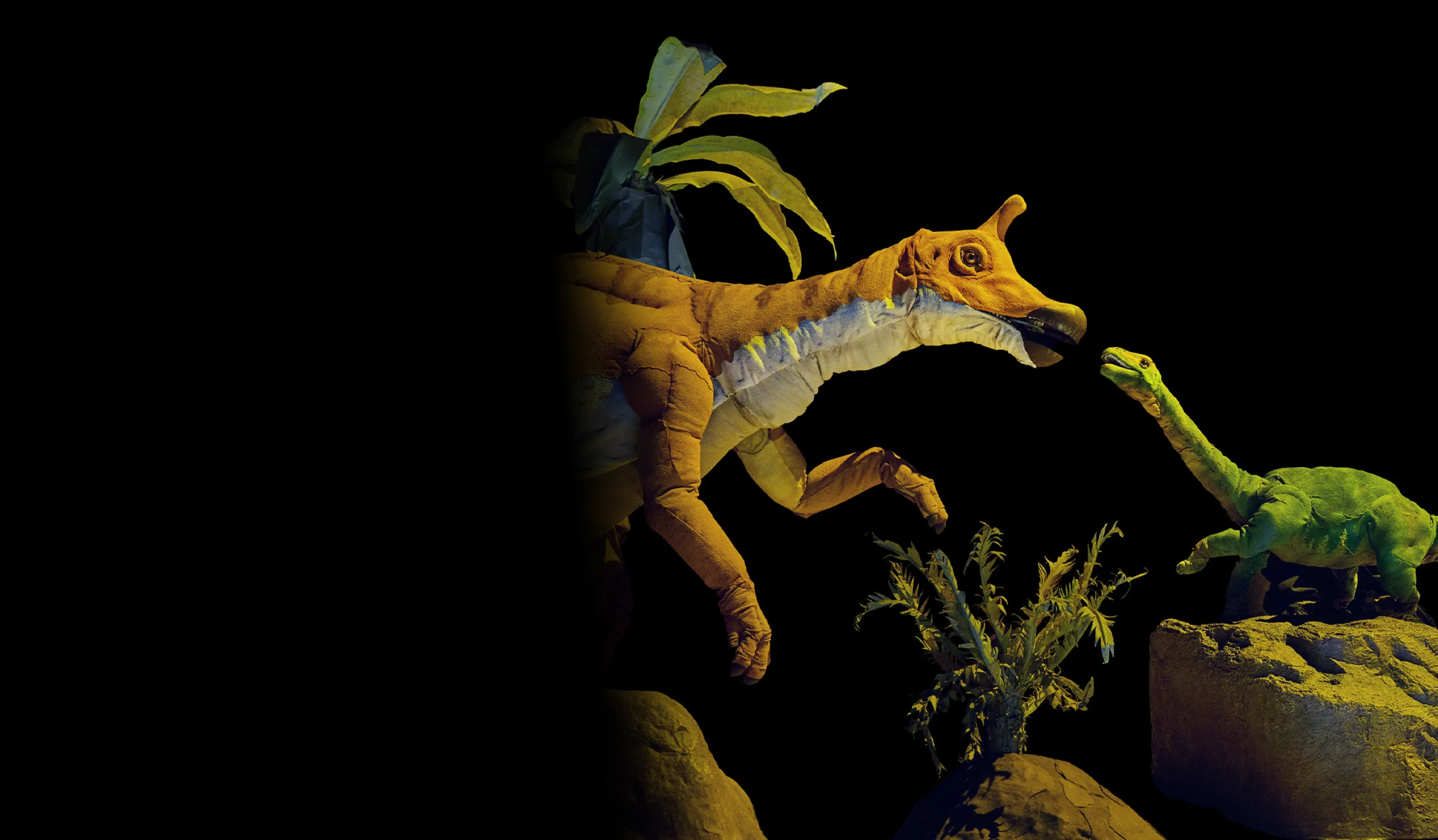 Horned tan and white hadrosaur puppet facing a miniature green long-necked saudromoporph dinosaur puppet