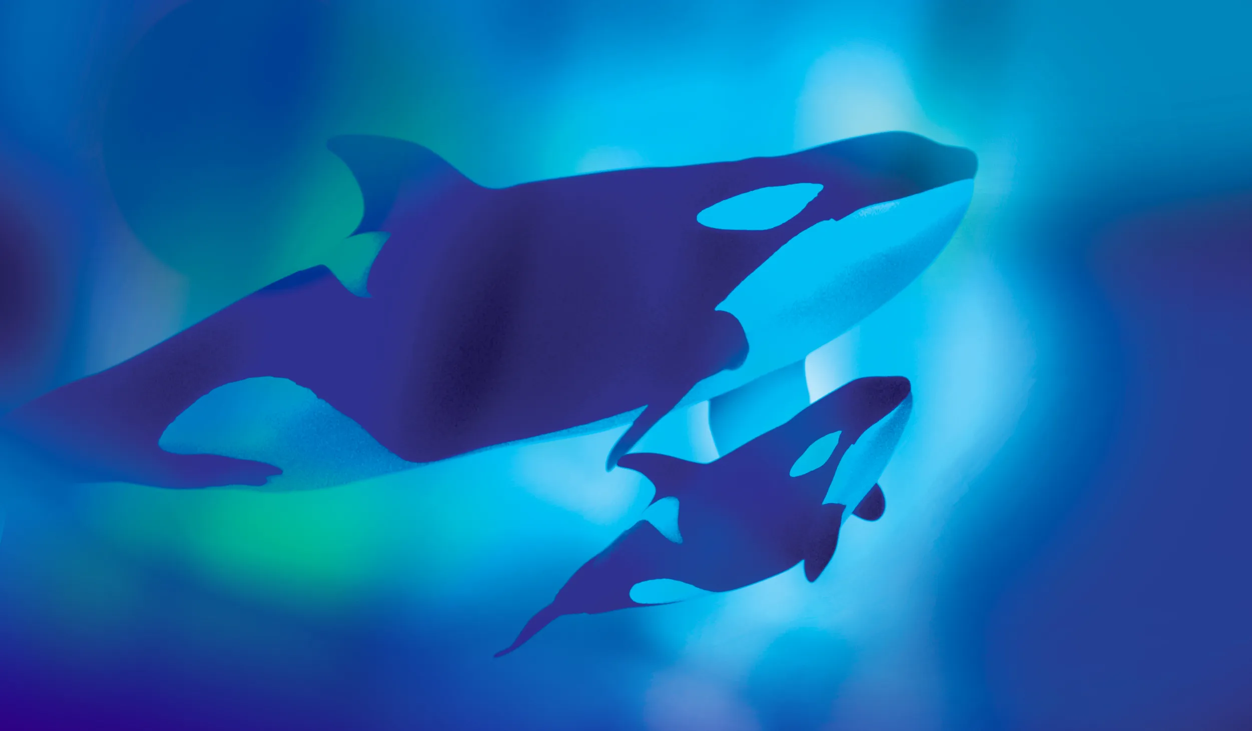 Art for Orcas Welcome Day