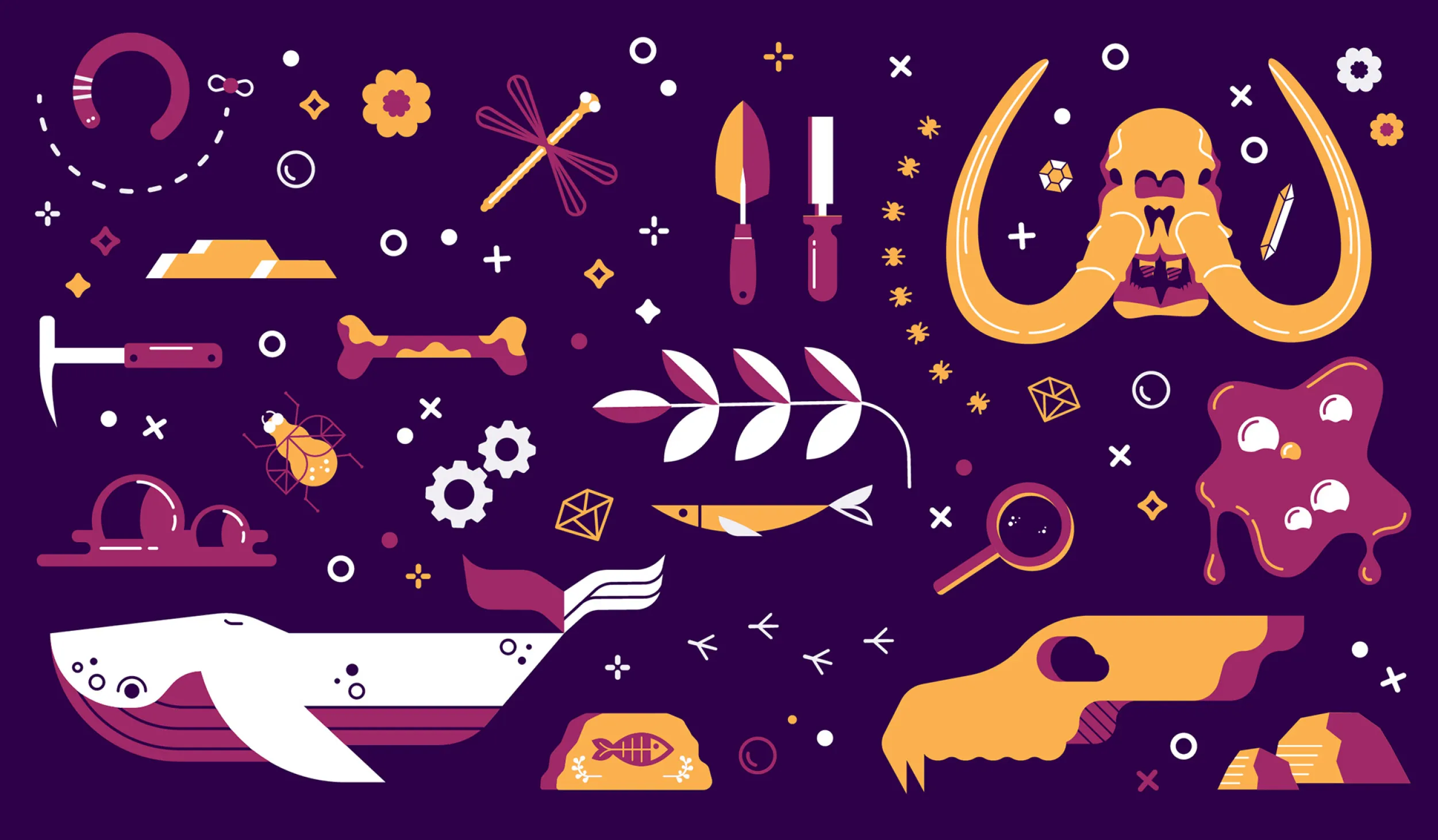 Mammoth and dire wolf skull and scientific objects in pink and orange on a purple background