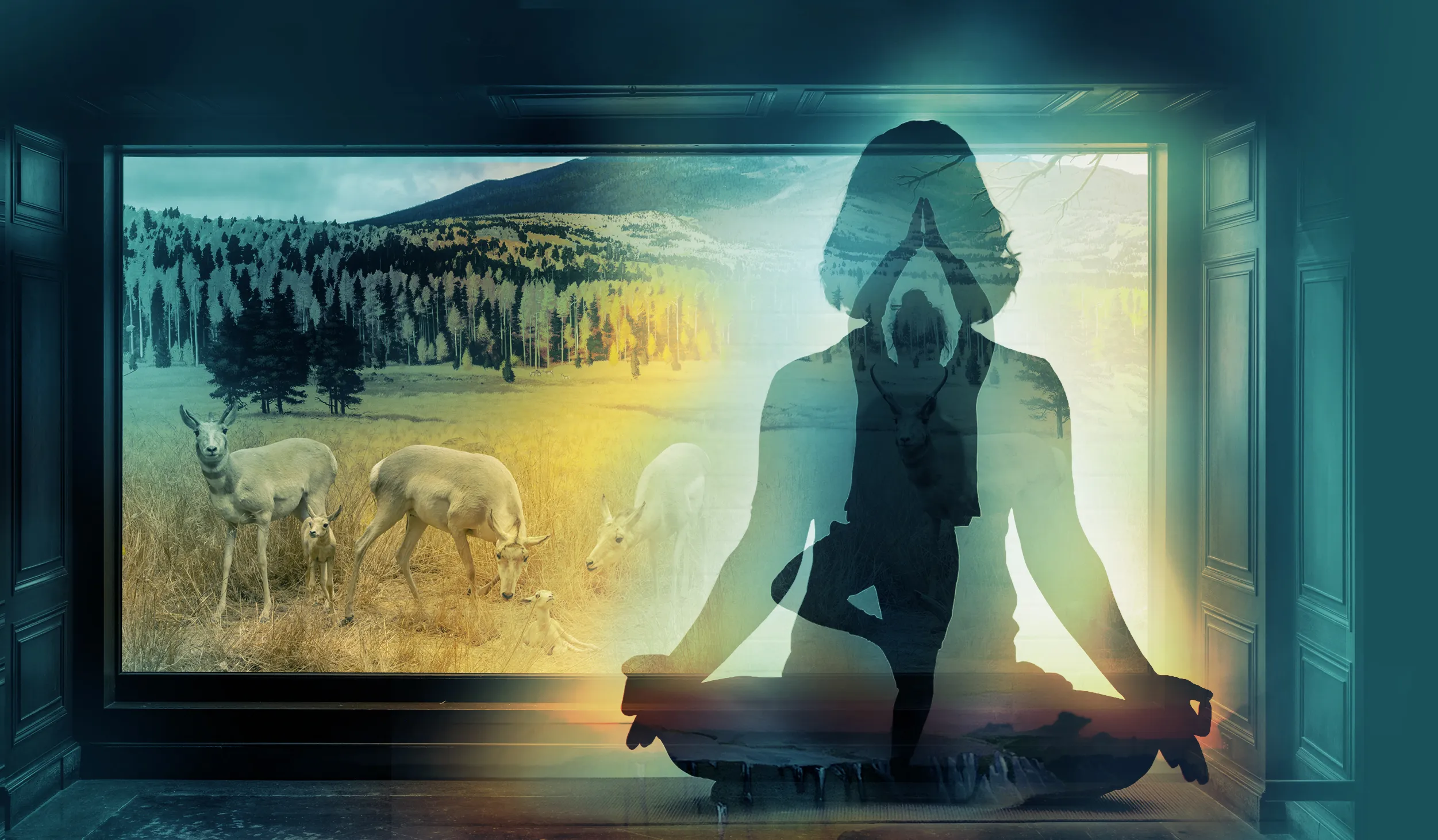 Silhouette of a figure in lotus and other yoga poses in front of a diorama of taxidermy