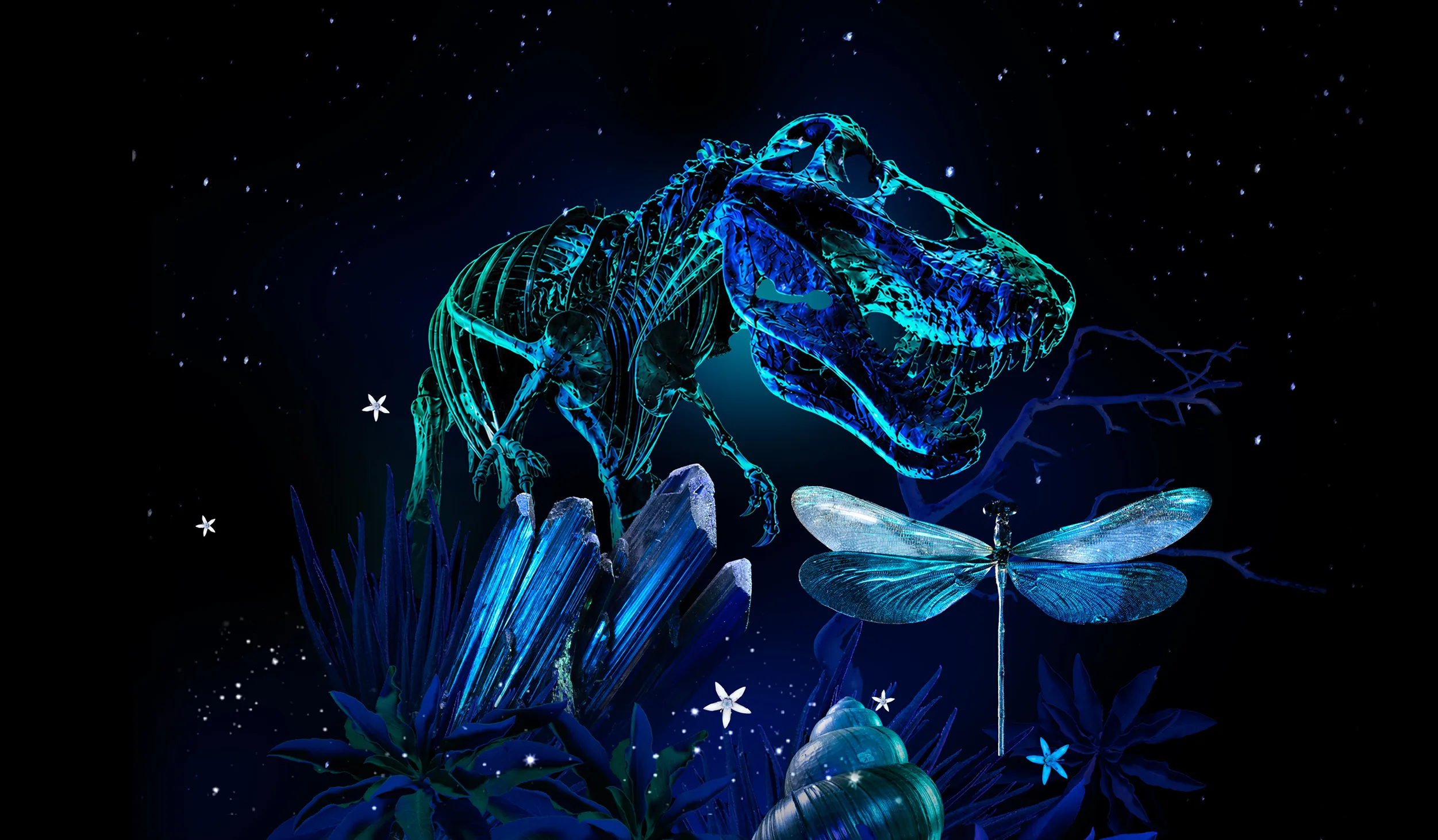 Blue illuminated dinosaur skeleton, dragonfly, and shell against a starry night sky