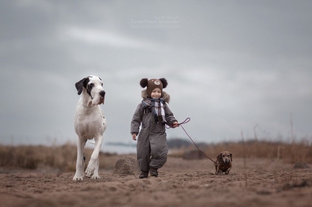 Photo of a small kid with big dog