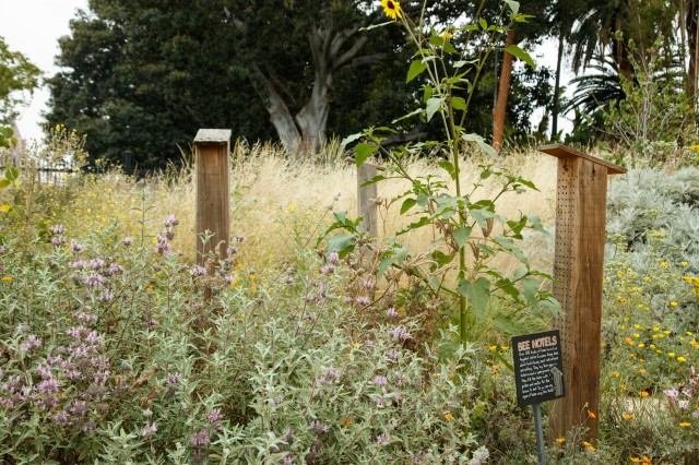 A sign reading &quot;bee hotel&quot; in front of wood poles with holes drilled for bees