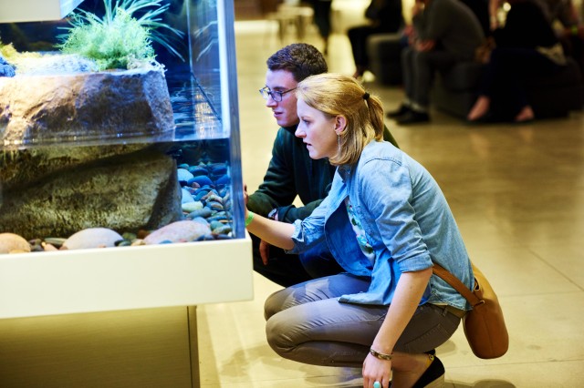 guests in nature lab