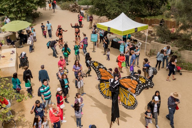 crowd of guests in the nature gardens at bug fair NHM