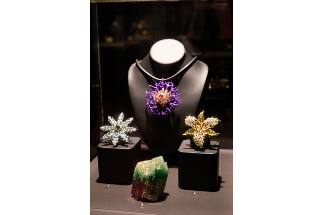 display case with multiple pieces from art of the jewel exhibit crevoshay
