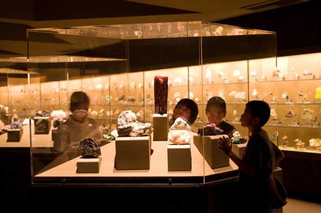 Children looking at minerals