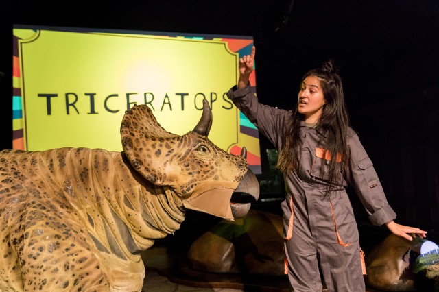Triceratops at NHM Dinosaur Encounters Live Theater Show