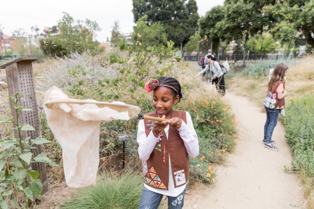 Young children using nets to capture bugs in the NHM Nature Gardens