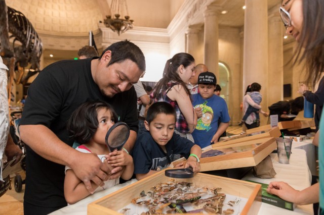 parent kids bug table