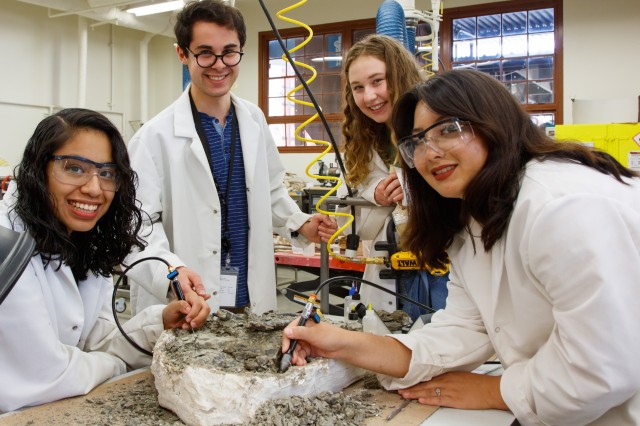Four Interns in white lab coats gather around a dinosaur fossil 