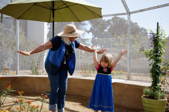 NHM volunteer and member child interacting inside the Butterfly Pavilion