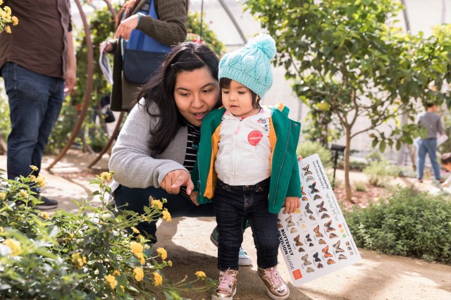 Member mother and child looking for butterflies.