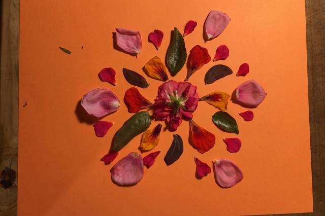 Flowers arranged on a sheet