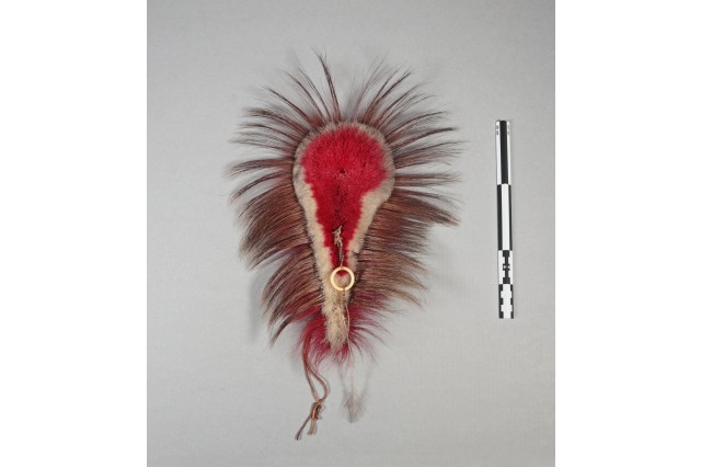 Anthro - Animal Parts: Porcupine hair roach