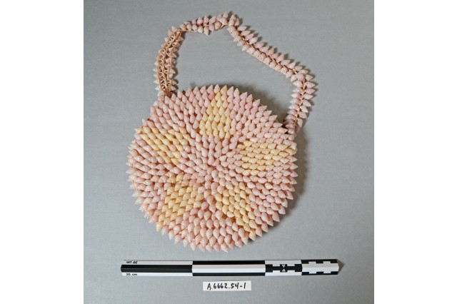 Anthro - Animal Parts: Partula snail shell purse from Guam