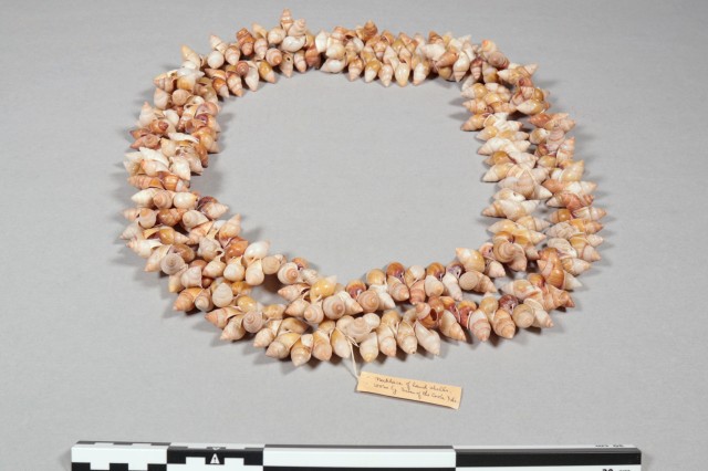 Anthro - Animal Parts: Partula snail shell necklace from &quot;Queen of Cook Islands&quot;