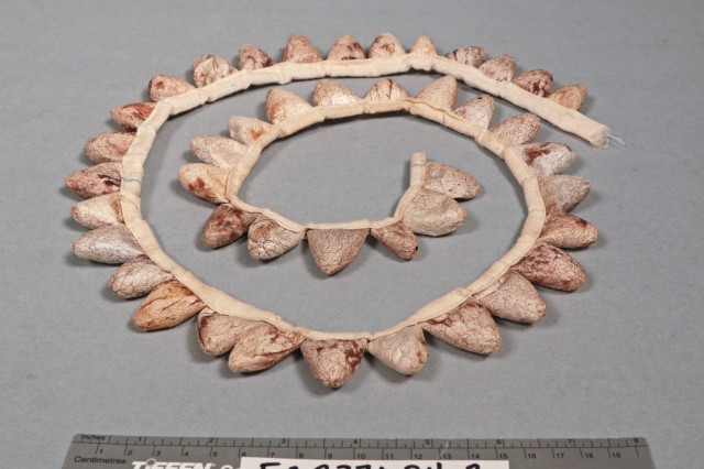 Anthro - Animal Parts: Silk moth cocoon leg ornament