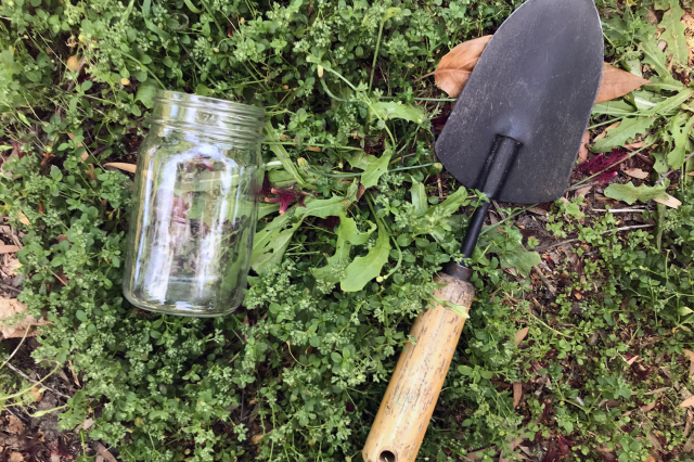 Trap materials - shovel and cup