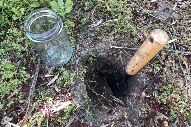 Plastic cup placed within hole in the ground 