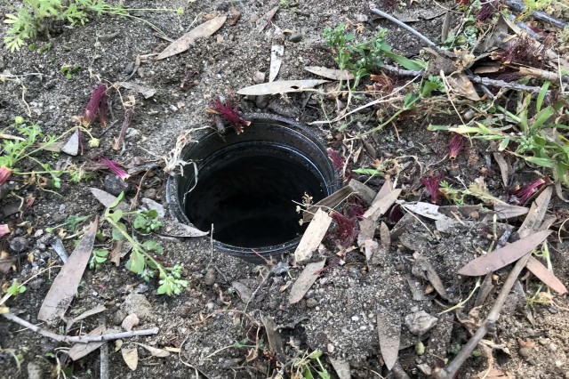 Place the container in the hole so that its opening is level with the ground.