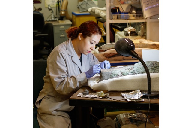 Image of Erika Durazo in the Dinosaur Lab working on a fossil specimen. 