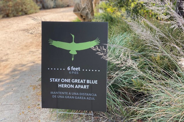 Stay one great blue heron apart signage