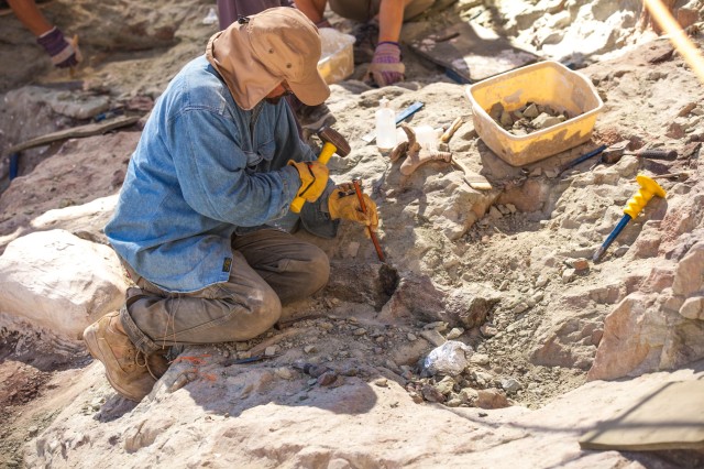 excavator uses hand tools on a fossil in rock