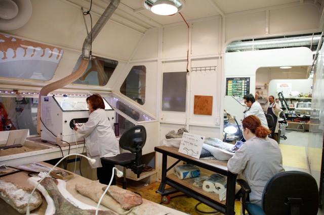 preparators at work in the Dino Lab