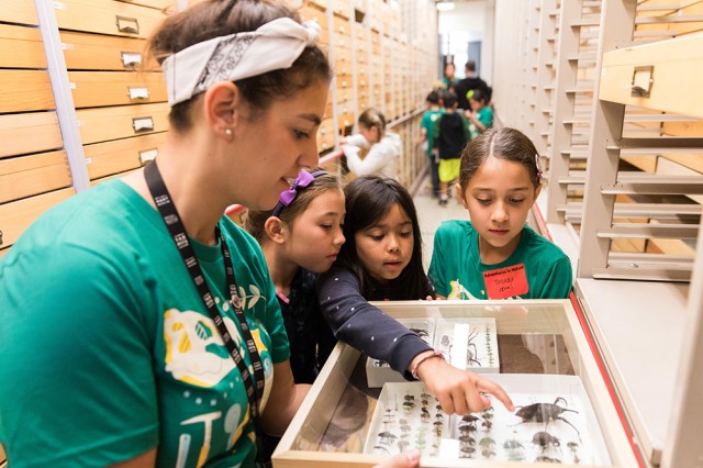 camp girls in collections room at NHM