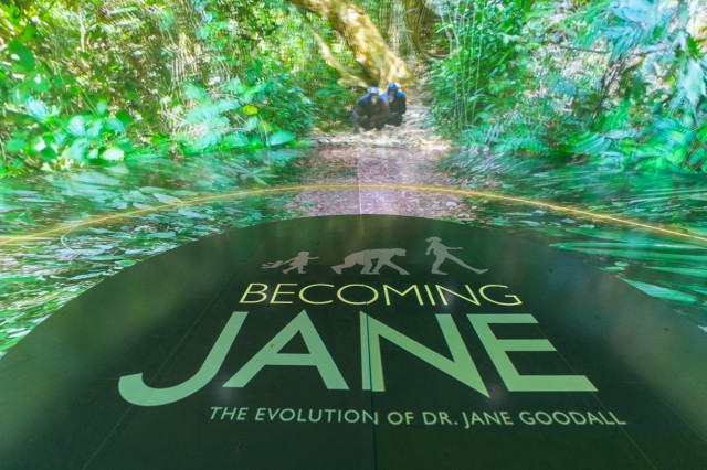 Becoming Jane Exhibit Opening